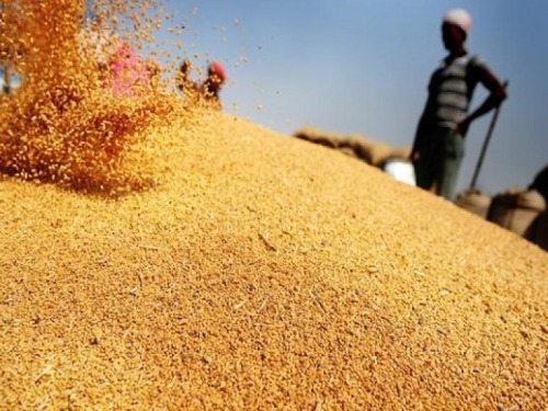 Африканские страны увеличивают закупку зерна из России